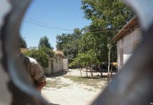 Шахритуз: три дома получили повреждения во время стрельбы на полигоне (видео)