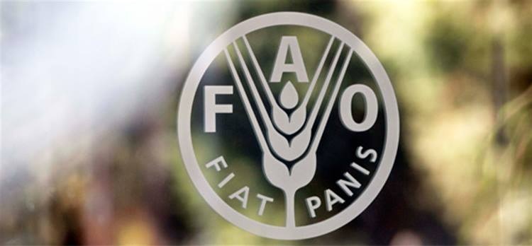 faologo