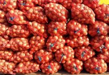 Деваштич: Подросток и двое молодых людей украли 10 тонн репчатого лука