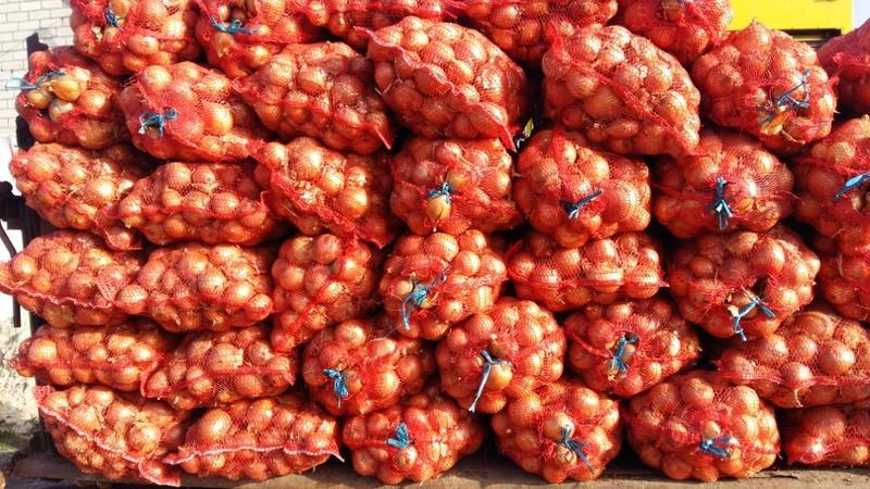 f20151207110959-20151207_100902