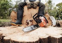 Пенджикент: Мужчина понесет наказание за вырубку деревьев