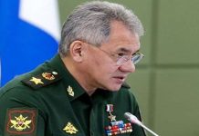 Шойгу предложил Таджикистану и другим странам СНГ наладить жизнь в Сирии