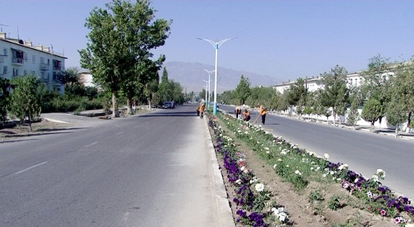 1529316304_5b2783d044092 (1)