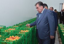 В Национальном парке Вахдат Президент страны открыл холодильное помещение