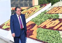 В Худжанде прошел праздник мёда, абрикоса и национальной лепёшки — нон (фоторепортаж)