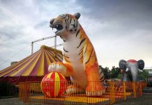 Канатоходцы и зоопарк Намангана приехали порадовать жителей Деваштичского района