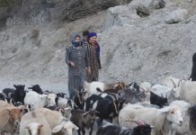 Терпеливые и сильные женщины Горного Бадахшана (фото)