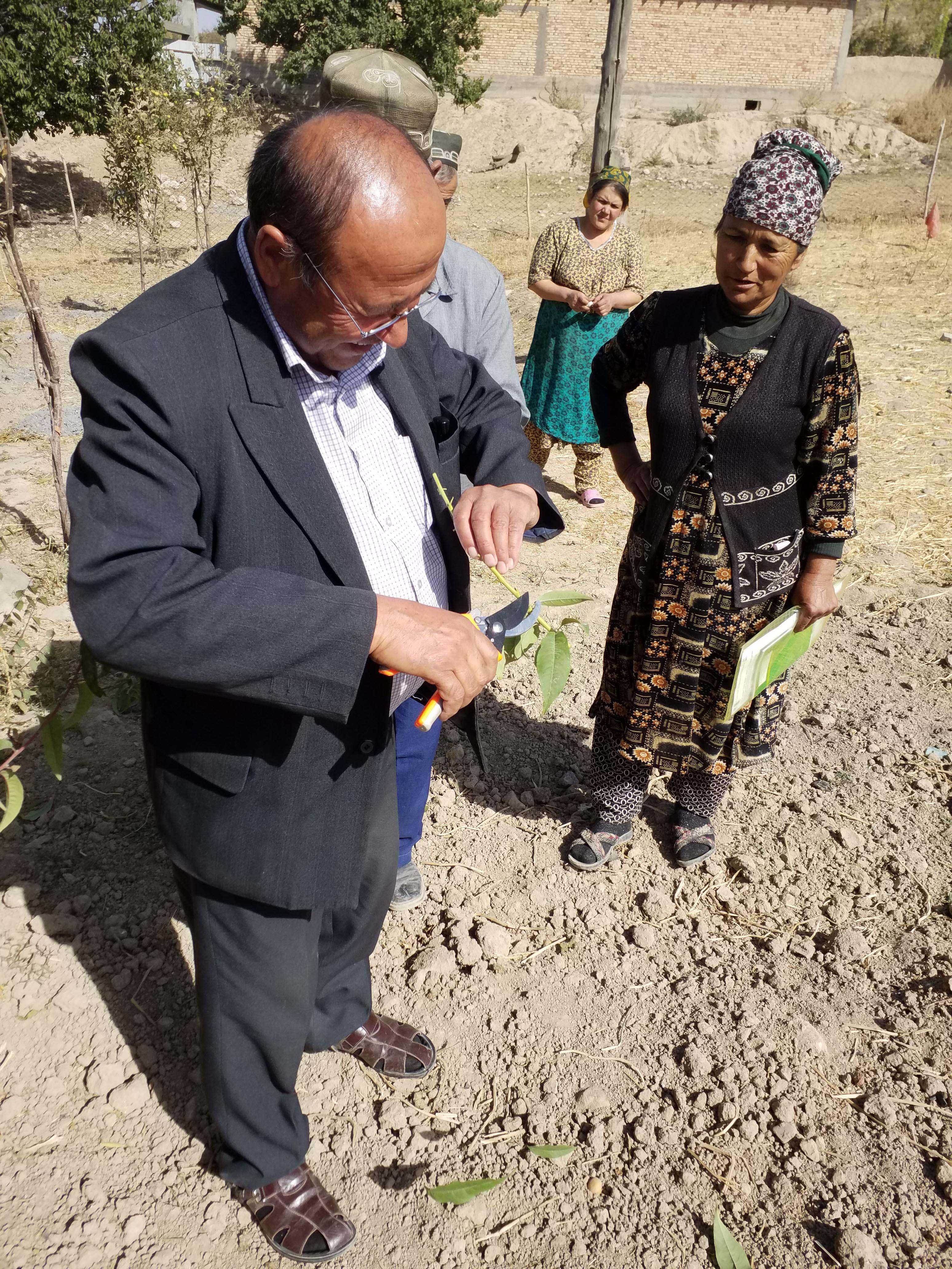 Практические занятие на демплоте