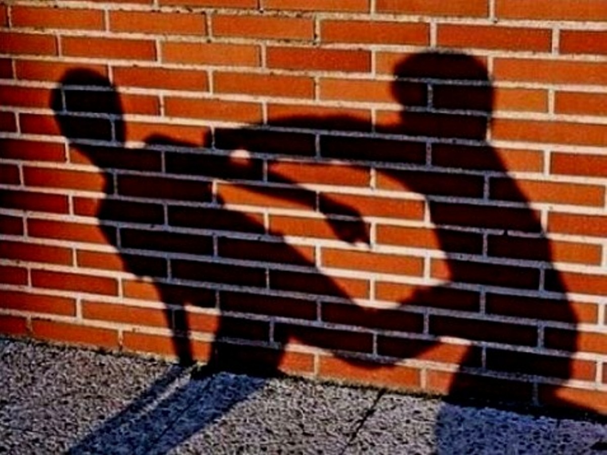 Правозащитник