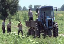 Реформа дехканских хозяйств привела к задолженности по заработной плате