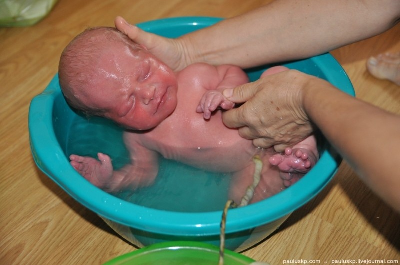 домашних родов