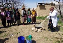Деваштич: Фермеров научили готовить натуральные препараты, предназначенные для обработки деревья