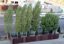 Журналист против эко-бесчинства