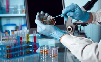 Таджикистан просит Россию содействовать в подготовке таджикских специалистов