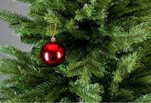 Новый год - ёлка