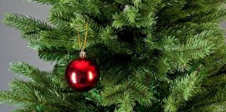 Новый год - ёлка