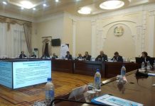 Проект "Мирные соседы""