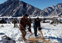 Согд: Новое руководство благоустраивает лесное хозяйство