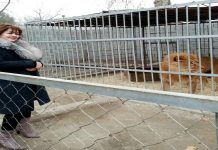 Питомцы худжандского зоопарка переданы в зоопарк города Турсунзода