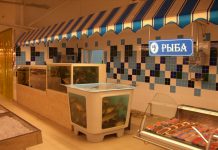 В Гулистоне намерены открыть магазин по продаже свежей рыбы