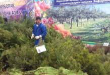 Ярмарка саженцев пройдет в Худжанде