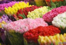 С праздником 8 марта!