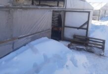 Шестеро граждан Таджикистане погибли в теплице под Волгоградом