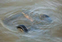 Спасатели КЧС нашли тело пропавшего человека в результате ДТП в реке Фон