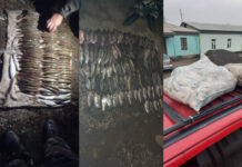 Канибадам. Двое жителей обвиняются в незаконной ловле рыбы