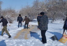 Экологи и лесники провели биотехнические работы в Пенджикенте и Айни