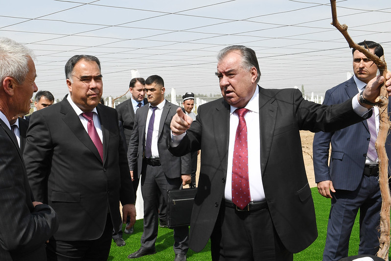 52779230314_abf37dd908_c