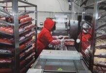 Худжанд: на предприятии по производству колбас трудоустроятся 40 человек