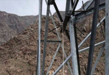 Милиция в Худжанде нашла лиц, повесивших собаку