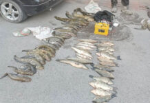 Двое жителей Б.Гафуровского района обвиняются в незаконной ловле рыбы