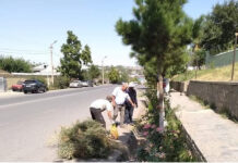 В Истаравшане возобновят массовые вечерние субботники