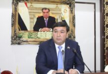 Фирдавс Шарифзода: «Деятельность всех простаивающих предприятий будет возобновлена»