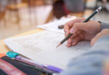 Студенты последних курсов смогут преподавать в школах