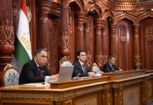 Верхняя палата парламента Таджикистана утвердила новый проект закона о торжествах