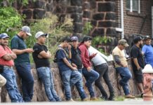 NYP: пограничники в Калифорнии будут депортировать нелегальных мигрантов