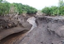 КЧС: в Согде сохраняется опасность схода локальных селей