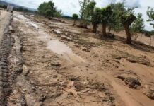 КЧС прогнозирует сход селей и повышение уровня воды в реках