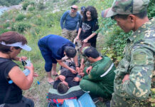 Что нельзя делать при укусе змеи?