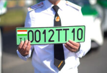 Государство поддержит экотранспорт: электромобилям выдают зеленые номерные знаки