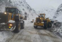 Сотрудники «IRS» вообще не остаются без дела, поскольку…