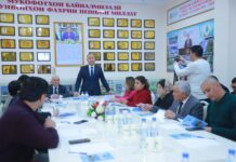 Ректор ТГУПБП: на пешеходном переходе у вуза будут приняты меры