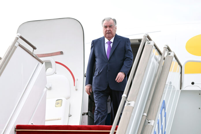 55174606319_8db7a3736c_o