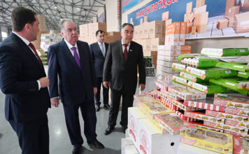 В Согде запущен новый этап производства картонной продукции