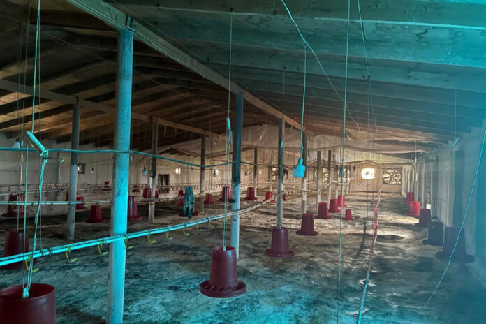 ptisefabrica
