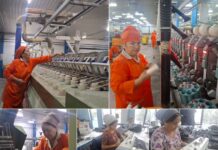 От хлопковых полей к новым профессиям