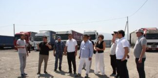 Таджикские таможенники изучили опыт Кыргызстана по электронной очереди для грузовиков